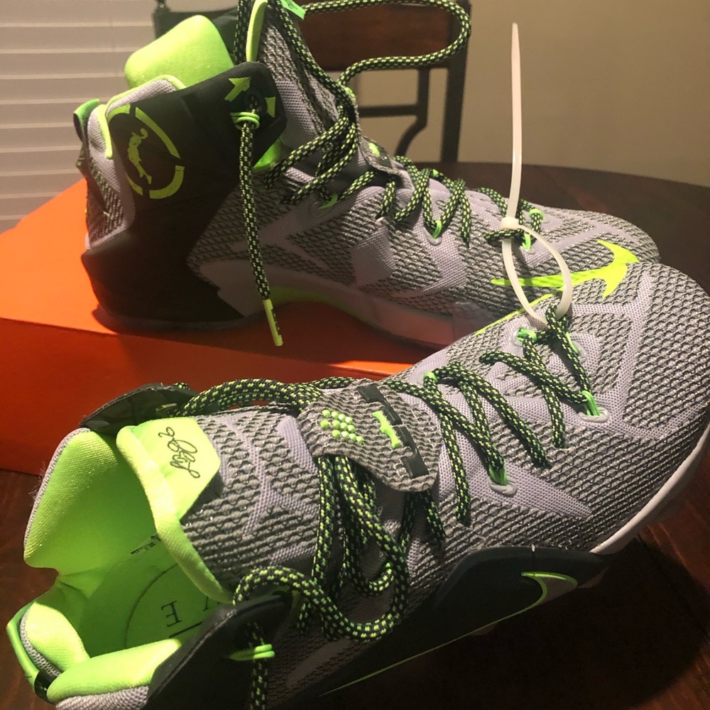 Lebron James The Twelve Series